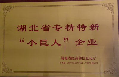 湖北省專精特新“小巨人”企業